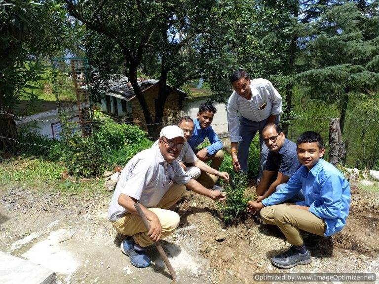 महाविद्यालय गुप्तकाशी विद्यापीठ के छात्रों ने लोक पर्व हरेला पर किया सघन वृक्षारोपण – लक्ष्मण नेगी ऊखीमठ