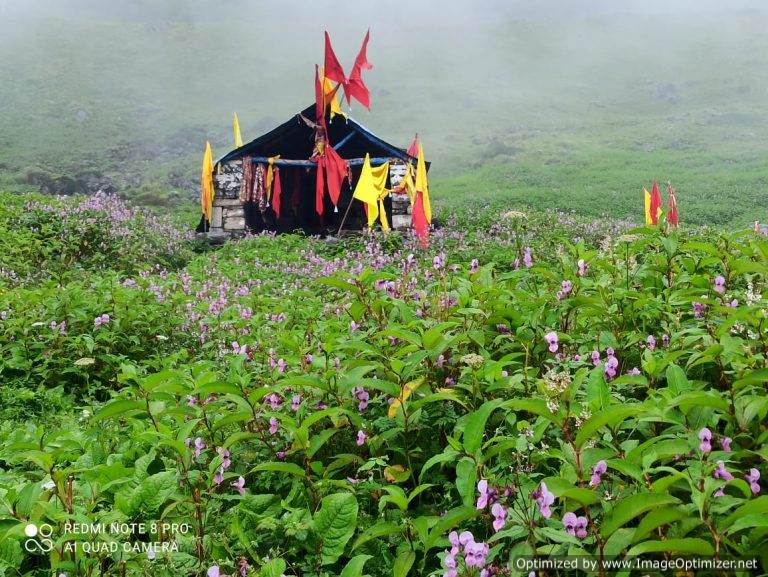 मद्महेश्वर घाटी में मनणामाई लोकजात यात्रा की तैयारियां जोरों पर – लक्ष्मण नेगी ऊखीमठ