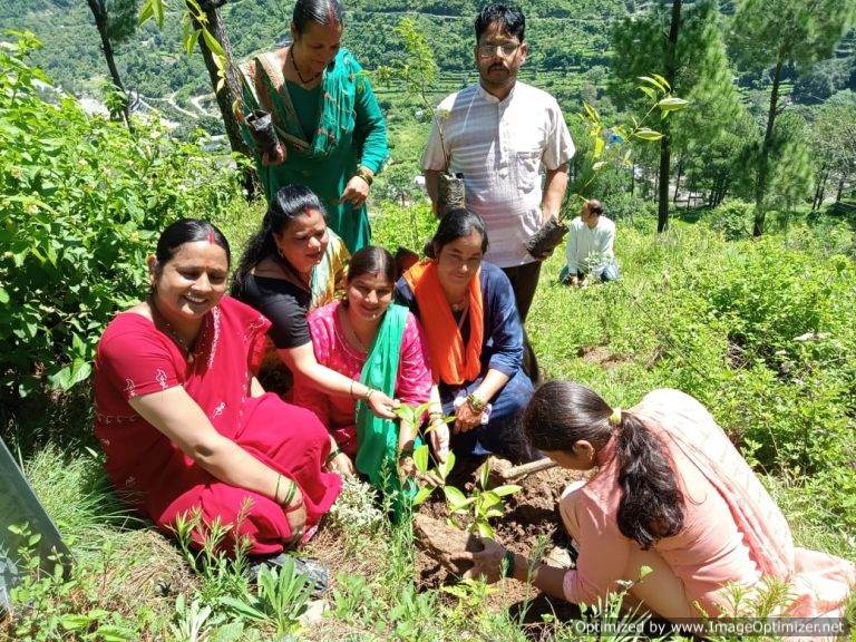 हरेला पर्व पर व श्री देव सुमन की याद में किया संघन वृक्षारोपण – केएस असवाल