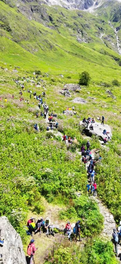 एक्सक्लूसिव : फूलों की घाटी के दीदार को पहुंचे रिकॉर्ड तोड पर्यटक, अब तक पहुंचे15,334 पर्यटक –  संजय कुंवर