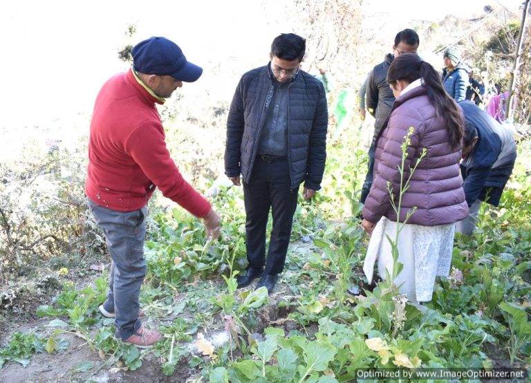 जिलाधिकारी ने जोशीमठ नगर क्षेत्र में हो रहे भू-धंसाव क्षेत्रों का किया निरीक्षण, अधिकारियों को दिए निर्देश – पहाड़ रफ्तार