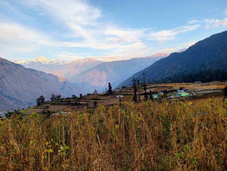 उर्गमघाटी : उर्वाऋषि आश्रम गीरा बांसा को जोड़ने वाली सड़क पर कार्य शुरू न होने पर ग्रामीणों ने दी आंदोलन की चेतावनी – पहाड़ रफ्तार