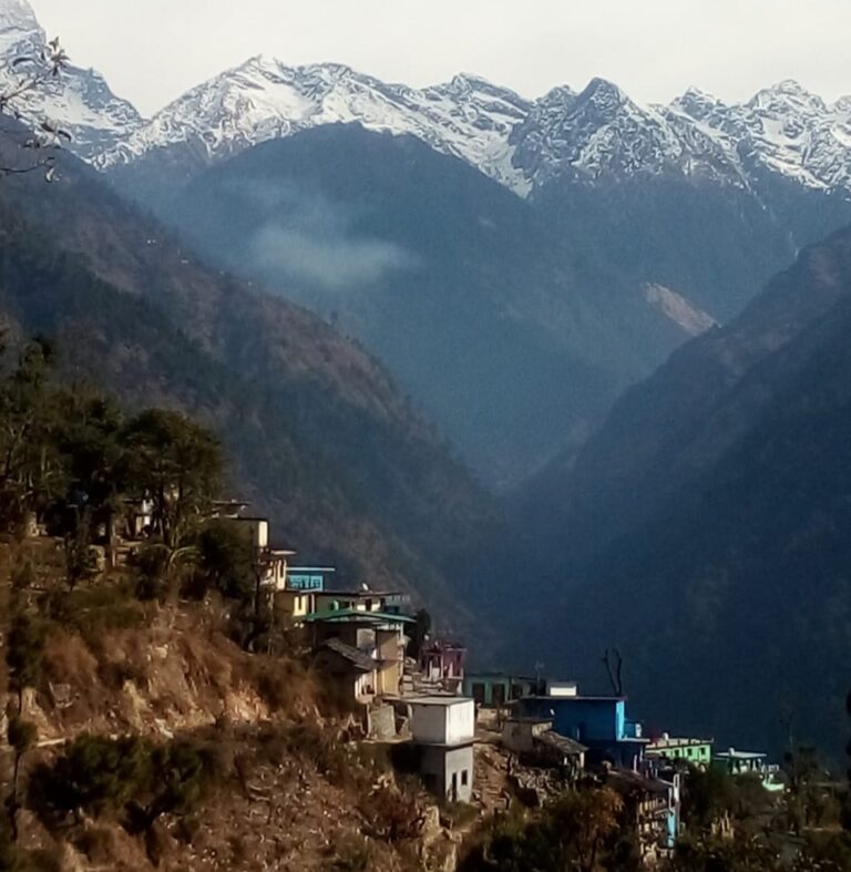 मद्महेश्वर घाटी के जंगलों में लगी भीषण आग, जंगली जानवर भी संकट में – पहाड़ रफ्तार