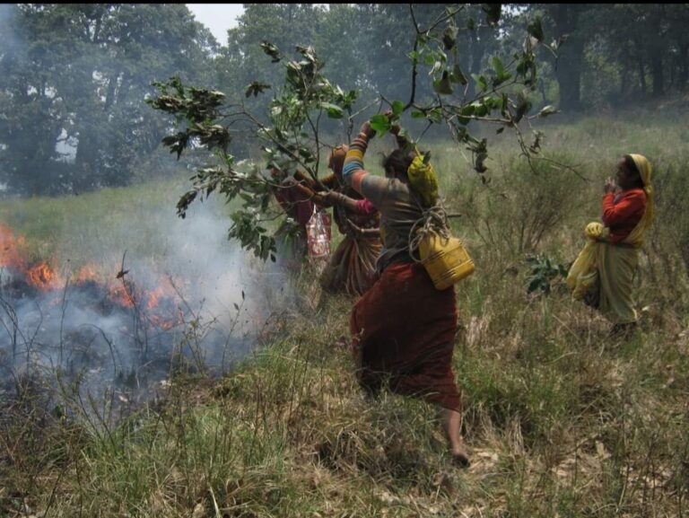 उत्तराखंड में वनों की सेहत का भी करनी होगी चिंता – डॉ. हरीश चन्द्र अन्डोला