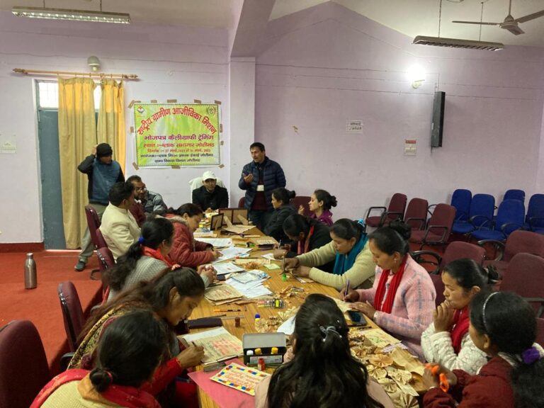 राष्ट्रीय ग्रामीण आजीविका मिशन ने महिलाओं को आत्मनिर्भरता का दिया प्रशिक्षण