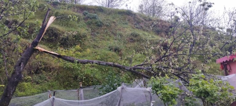 जोशीमठ : तेज अंधड़ और ओलावृष्टि से सेब के बागानों को हुआ भारी नुक़सान