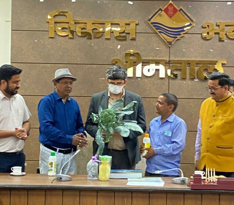 जुनून : नरेंद्र मेहरा ने जाड़ों में उगाई जाने वाली ब्रोकली को 37°c गर्मी में भी उगाई