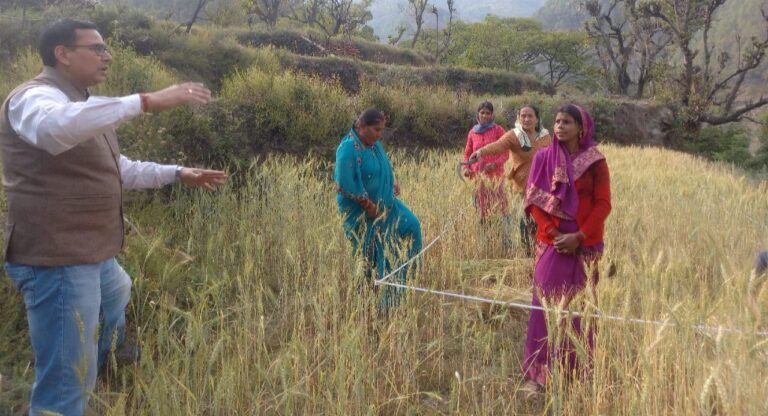 अपर जिलाधिकारी ने घुडसाल गांव में गेंहू की फसल में क्रॉप कटिंग प्रयोग का किया निरीक्षण