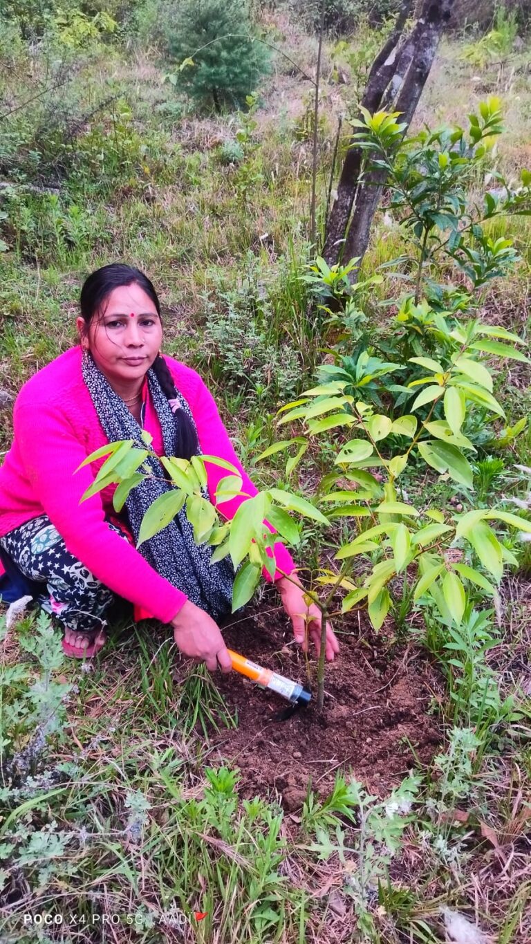 चमोली : लक्ष्मी रावत पर्यावरण संरक्षण व महिला सशक्तिकरण की बनी मिशाल