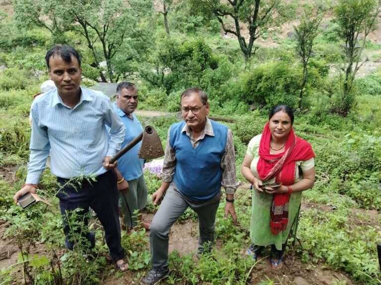 चिपको की स्वर्ण जयंती पर किया वृहद पौधारोपण