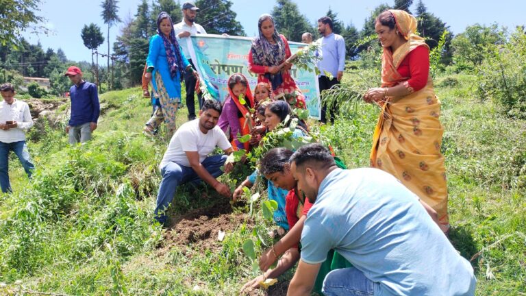 ऊखीमठ : ग्रामीणों, जनप्रतिनिधियों व कर्मचारियों द्वारा वृक्षारोपण रोपण कर धरती को हरा – भरा बनाने का लिया संकल्प