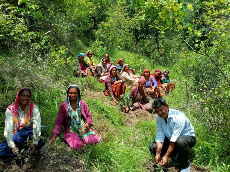 शिक्षक भंडारी के नेतृत्व में महिलाओं ने किया वृहद पौधरोपण