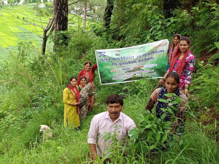 चमोली : थिरपाक गांव की महिलाओं ने 200 चारापत्ती पौधों का किया रोपण