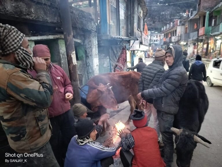 जोशीमठ : बर्फबारी के बाद सीमांत में शीतलहर, अलावा का सहारा