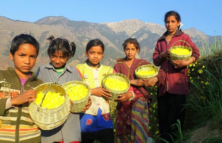 बाल लोकपर्व : चला फुलारियो फुलदेई मनोला माटी थातीकु कर्ज चुकोला.