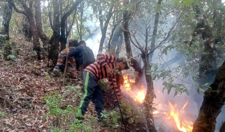चमोली : जंगल में आग लगाने वाले की सूचना देने वाले को वन विभाग देगा 10 हजार का पुरस्कार 