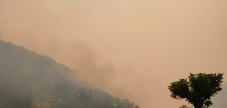 गौचर : शासन – प्रशासन की सख्ती के बावजूद नहीं थम रही जंगलों में आग