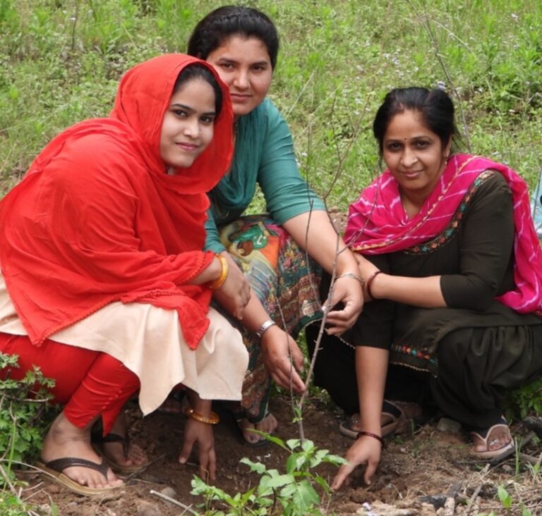 गौचर : आईटीबीपी आठवीं वाहिनी ने पौधारोपण कर धूमधाम से मनाया विश्व पर्यावरण दिवस 