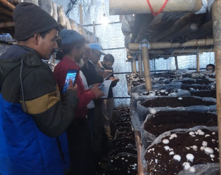 चमोली : आदिबदरी, मालसी और खेती गांव बन रहे मशरूम उत्पादन के मॉडल विलेज