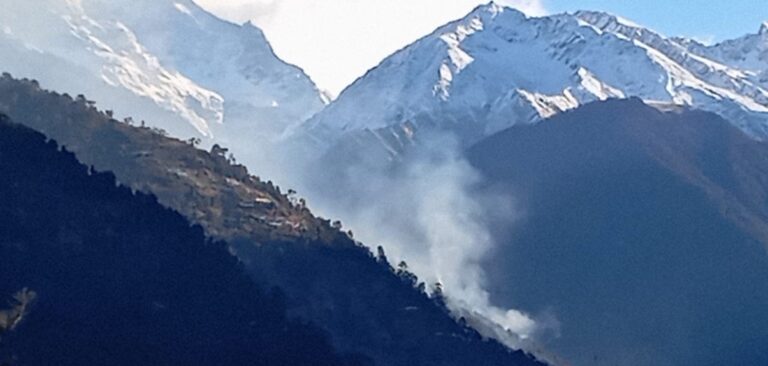 ऊखीमठ : मद्महेश्वर घाटी के जंगलों में आग से स्वाह होते जंगल