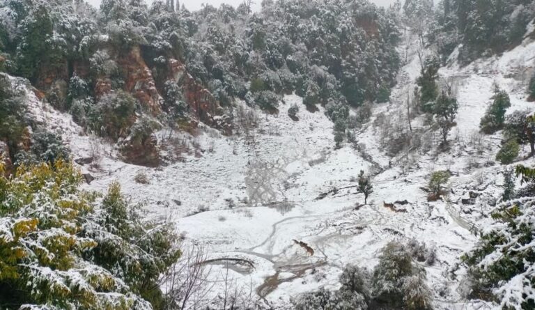 ऊखीमठ : केदारघाटी में बारिश व बर्फबारी से जनजीवन हुआ अस्त-व्यस्त, धान की बुआई प्रभावित