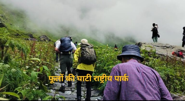 जोशीमठ : संस्कृति, जैव विविधता और अल्पाइन पुष्पों की घाटी ये तीन विश्व धरोहरों को संजोए हुए है ज्योतिर्मठ