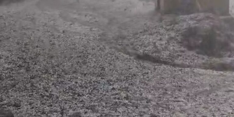 चमोली : जिले में भारी बारिश व अतिवृष्टि से फसलों को भारी नुक्सान, विद्यालयों में कल का अवकाश घोषित