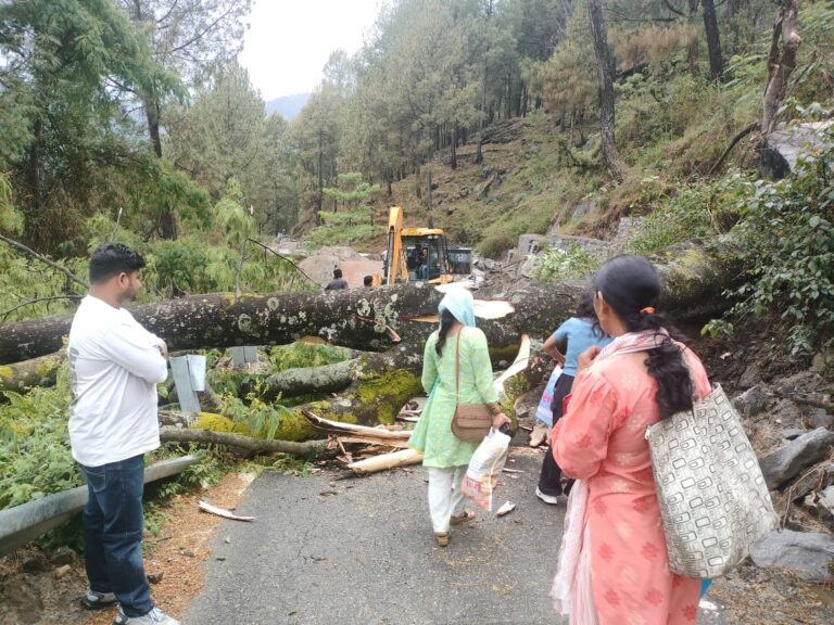 चमोली : सैकोट मोटर मार्ग पर पेड़ गिरने से यातायात प्रभावित, खोलने की मांग