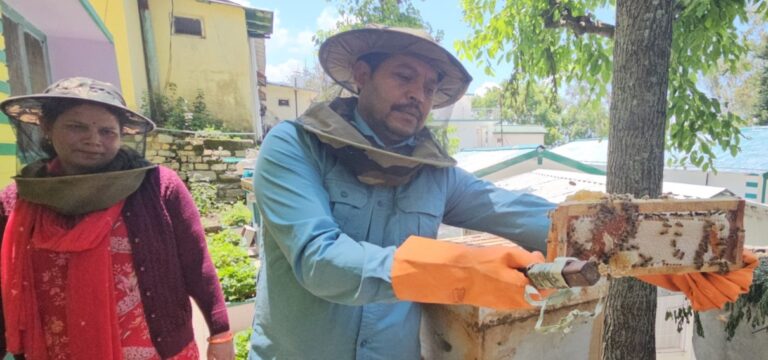 गोपेश्वर : चमोली जिले में मौन पालन बना आजीविका का आधार