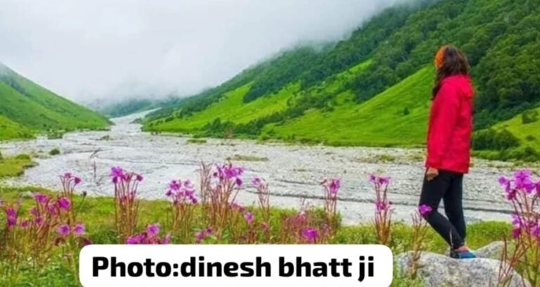 गोविंदघाट : विश्व धरोहर फूलों की घाटी देशी – विदेशी पर्यटकों से हुआ गुलजार