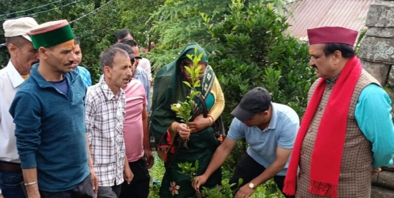 लोकपर्व हरेला : बीकेटीसी उपाध्यक्ष ऋषि प्रसाद के नेतृत्व में वृक्षारोपण