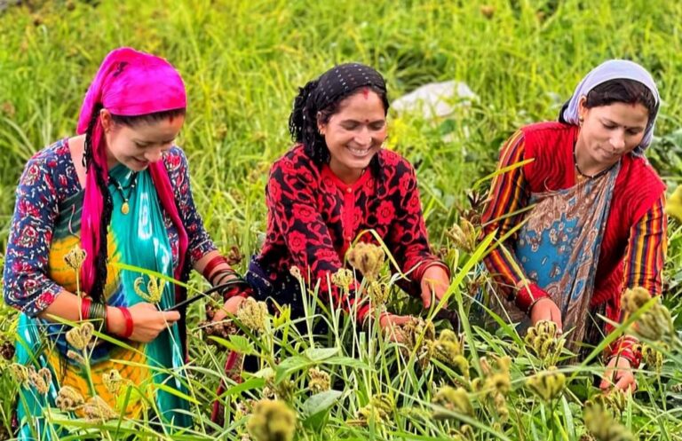 गोपेश्वर : सगर – गंगोलगांव के ग्रामीणों ने फसल सुरक्षा को चैन फेंसिंग के लिए सांसद को भेजा ज्ञापन