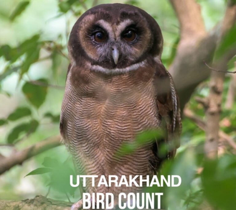 देहरादून : दूसरा उत्तराखण्ड बर्ड काउंट 15–16 नवम्बर 2025 को होगा आयोजित 