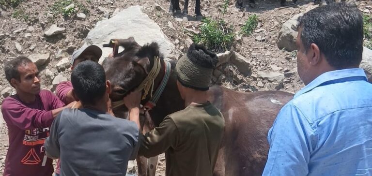 चमोली : हेमकुंड यात्रा से पहले प्रशासन अलर्ट, घोड़ा-खच्चर संचालकों को दिए सख्त निर्देश