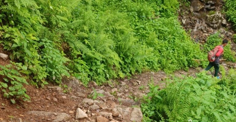 ऊखीमठ : एक करोड़ खर्च के बाद भी चौमासी-खाम-रैकाधार पैदल मार्ग बदहाल, जांच की मांग