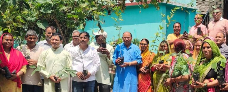 चमोली : हरेला पर लंगासू के केदार तोक में हरियाली का संकल्प, ग्रामीणों ने लगाए 50 पौधे