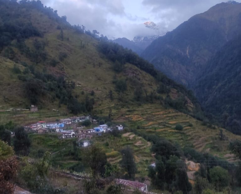 ऊखीमठ : सीमांत के छह बच्चों का भविष्य भगवान भरोसे! शिक्षकविहीन हुआ तोषी जूनियर हाईस्कूल, एक शिक्षक के भरोसे चल रहे दो विद्यालय