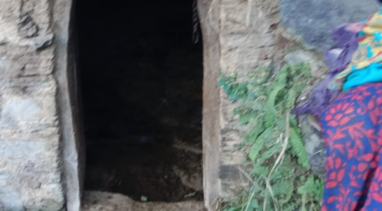 चमोली : पोखरी में भालू का आतंक, गाय को मार डाला; बैल घायल, ग्रामीणों में दहशत