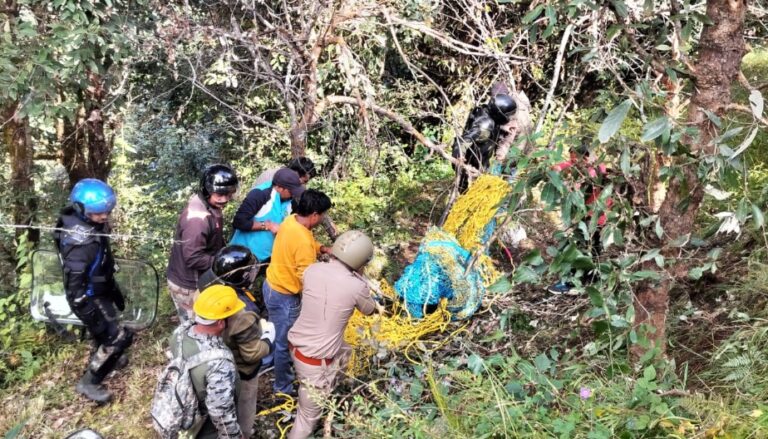थराली : तार में उलझा भालू रातभर करता रहा संघर्ष, वन विभाग ने सुरक्षित निकाला